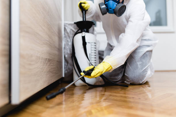 Best Mosquito Control Services  in Fountain Valley, CA