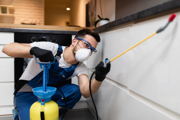 Reliable Fountain Valley, CA Pest Control Solutions