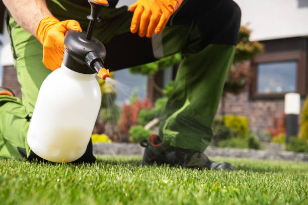 Best Spider Control Near Me  in Fountain Valley, CA