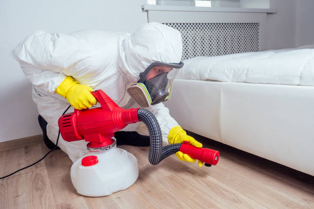 Best Affordable Pest Control Services  in Fountain Valley, CA