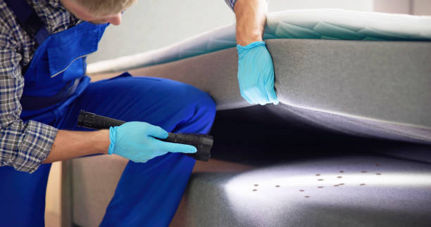 Best Commercial Pest Control Services  in Fountain Valley, CA